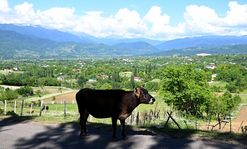 Selo Čorvila, Gruzija, Kavkaz
