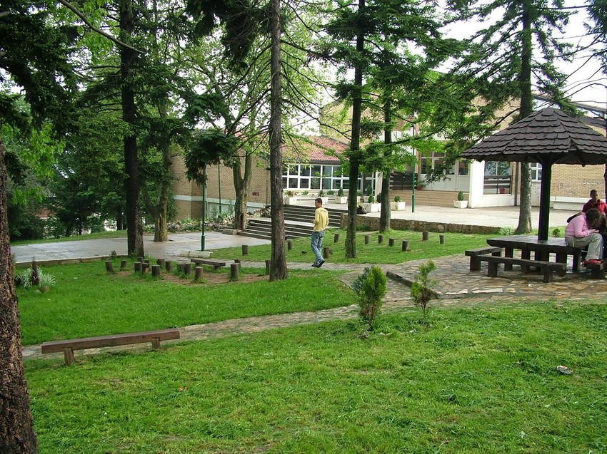 Drugo mesto pripalo je OŠ „Vasa Čarapić"