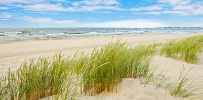 Wakacje nad morzem? To najczystsze polskie plaże