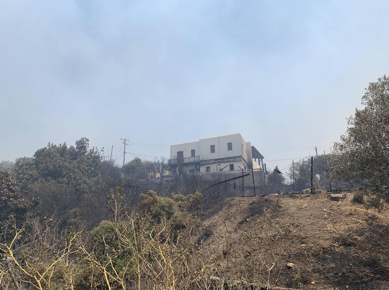 Widok na spalone tereny leśne na Rodos