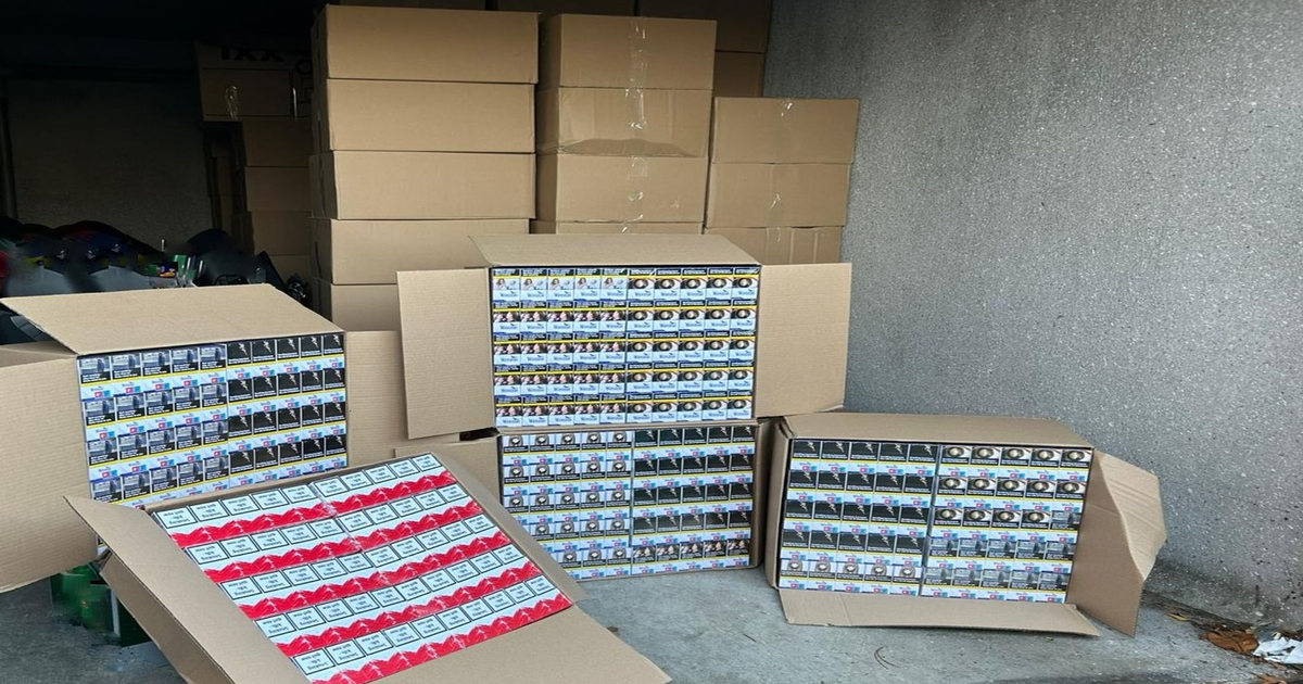 Zoll-zerschl-gt-Schmugglerbanden-10-4-Millionen-Zigaretten-beschlagnahmt