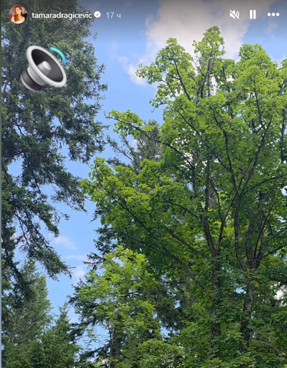 Objava Tamare Dragičević