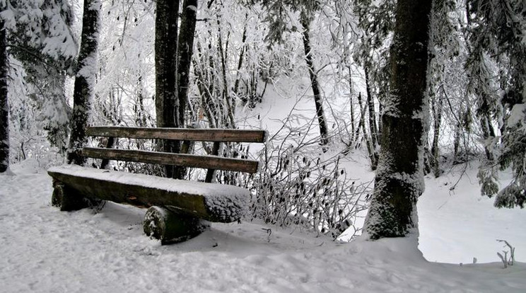 Hamarosan megérkezhet a hó az országba /Illusztráció: Northfoto