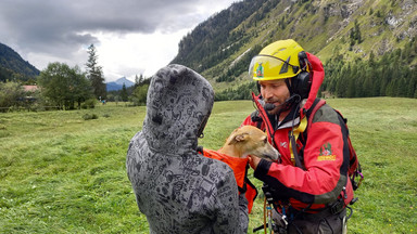 Turystka z psem uratowana po 60-metrowym upadku w Alpach