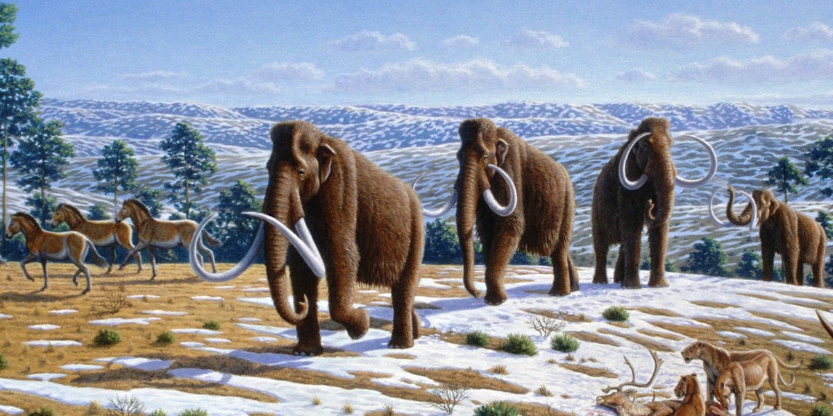 A new study reveals how the last woolly mammoths died out 4,000 years