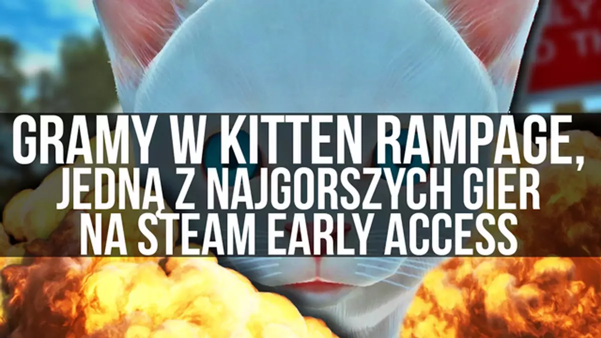 Gramy w Kitten Rampage, jedną z najgorszych gier z Early Access