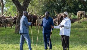 President Yoweri Museveni recently hosted Raila Odinga and President William Ruto