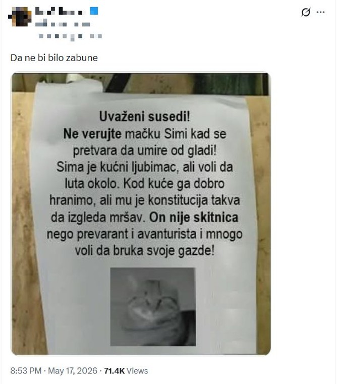 Oglas o mačku Simi nasmejao sve u kraju