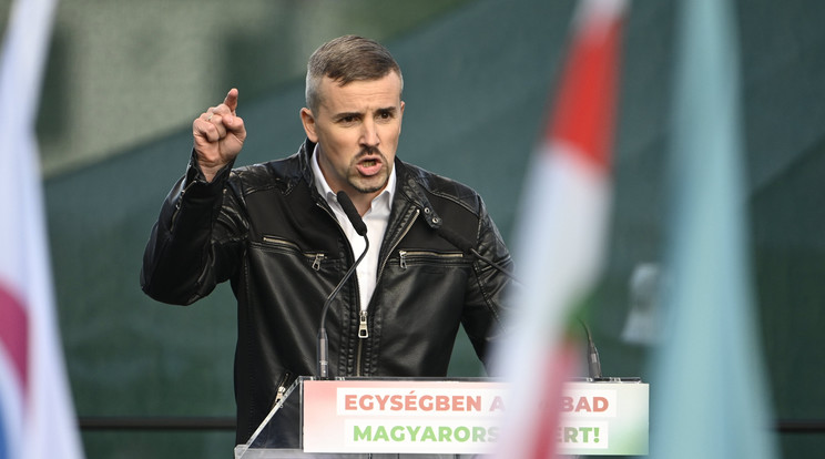 A politikus is részt vett a tüntetésen. / Fotó: MTI/Szigetváry Zsolt