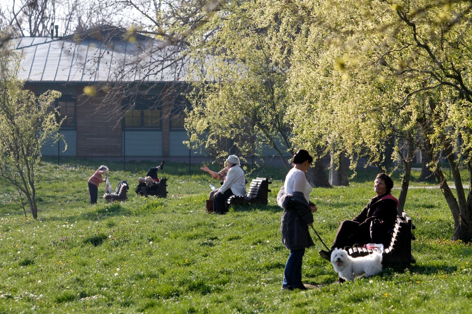 Ponedeljak će biti najtopliji dan tokom kraćeg otopljenja koje počinje ovog vikenda