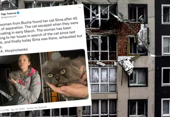 Straciła kota podczas ewakuacji z Buczy. Odwiedzała swój dom, aż się pojawił