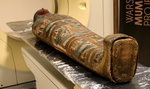Co kryją mumie pod bandażami? Tak wyglądali mężczyźni sprzed 2 tysięcy lat