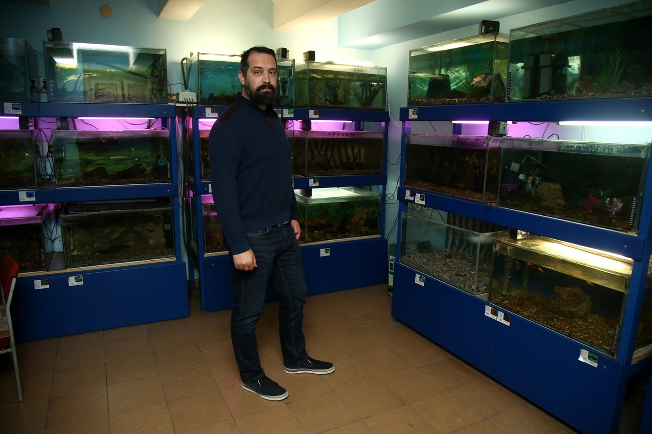 Prvi i jedini javni akvarijum u BiH nalazi se u podrumu PMF u Banjaluci