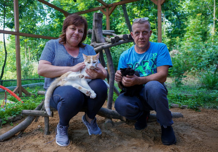 Kocie ranczo na Podlasiu