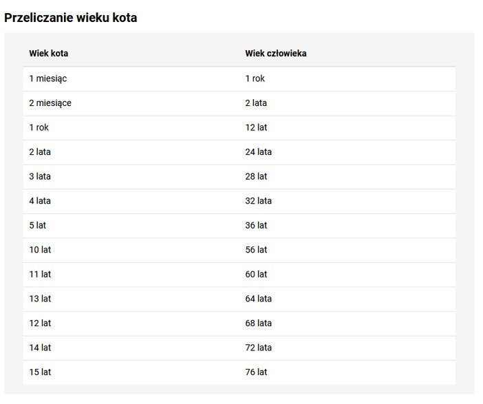 Przeliczanie wieku kota - FajnyZwierzak.pl