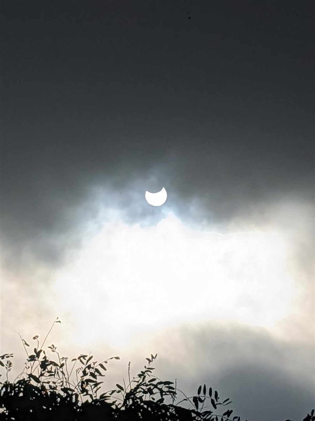 The solar eclipse is getting closer! Where is the best to see them?