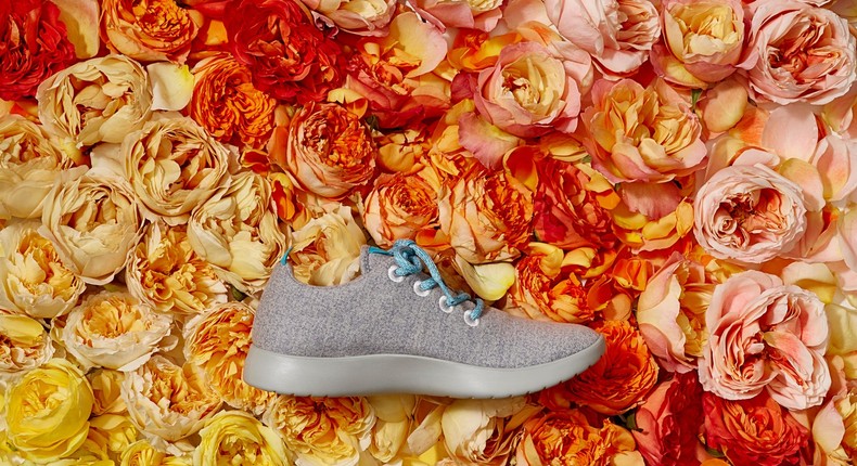 Allbirds is popular among Silicon Valley residents.
