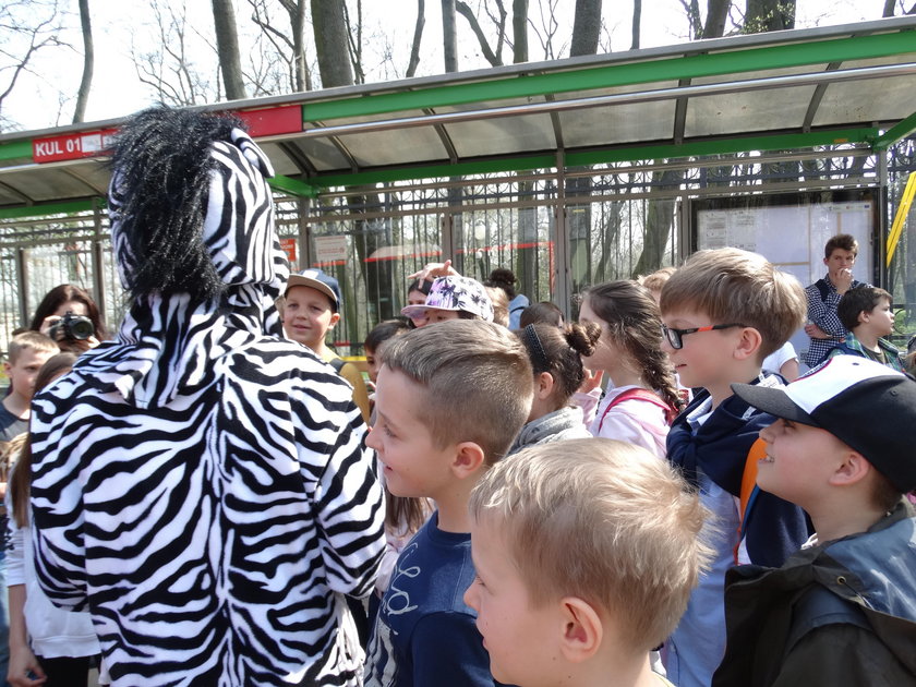 Akcja Przyjazna Zebra