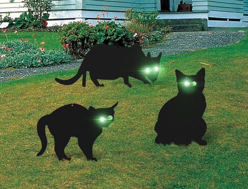 Strašilo u obliku mačke