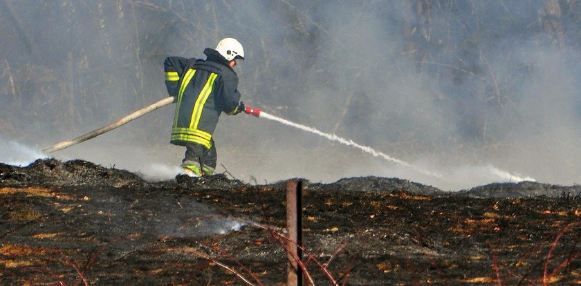 Będą wyższe kary za wypalanie traw