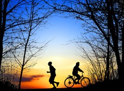 Wracają ścieżki zdrowia