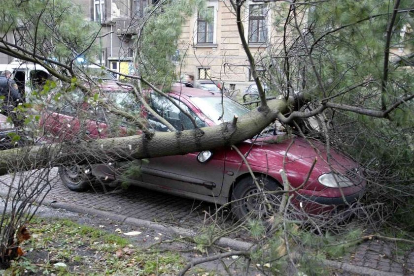 Uwaga na wiatr! Tej nocy będzie bardzo silny