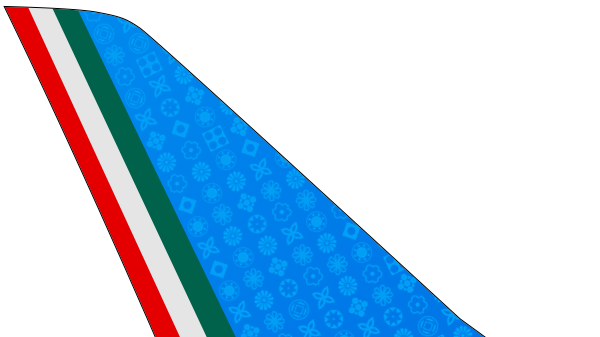 ITA Airways prüft Flüge nach Caracas