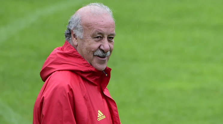 Vicente del Bosque végre leszűkítette a keretet /Fotó: AFP