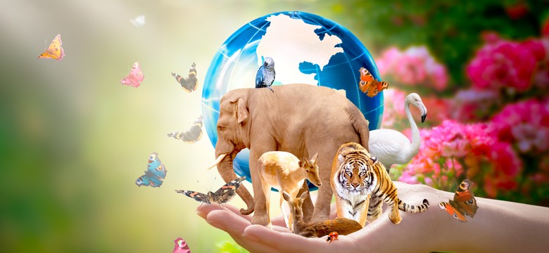 Wyjątkowo trudny quiz z biologii. 6/10 to już świetny wynik