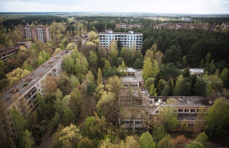 Na placu wokół kontenerów biurowych wałęsają się dorodne psy, a między ich nogami plączą się szczenięta. W przejrzystej wodzie fosy pływają ogromne, półtorametrowe sumy. Poza terenem siłowni króluje wiosenna zieleń. Opuszczone przed 30 laty domy w zamkniętej strefie Czarnobyla niebawem całkowicie znikną w liściach rosnących przed nimi krzewów i drzew.