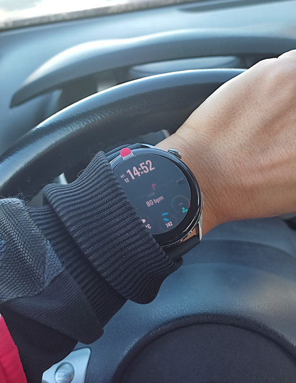 Smartwatch 3 Elite