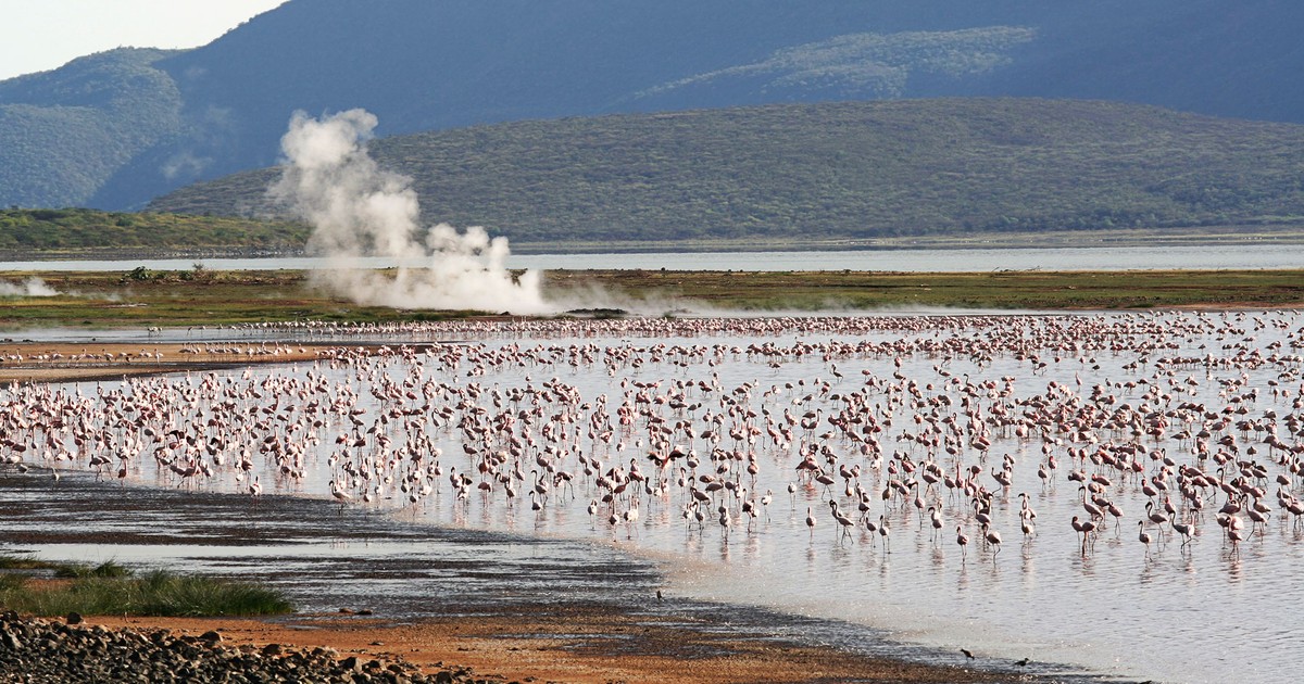 6 beautiful lakes found at the floor of Rift Valley that you need to