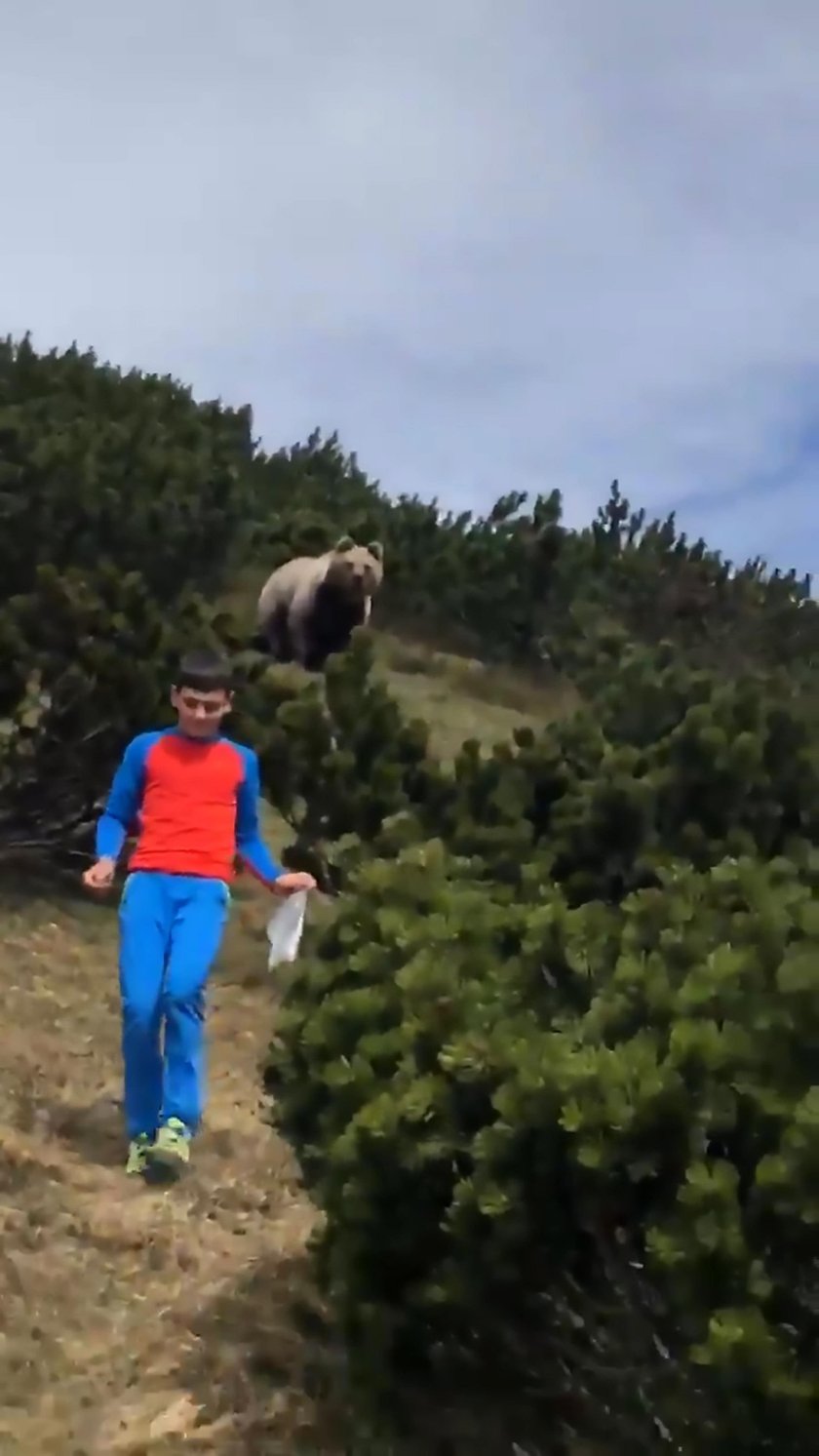 Spacerowali po górach i spotkali niedźwiedzia. Tylko dzięki temu przeżyli!