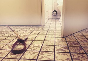 Toalet - ilustrcaija