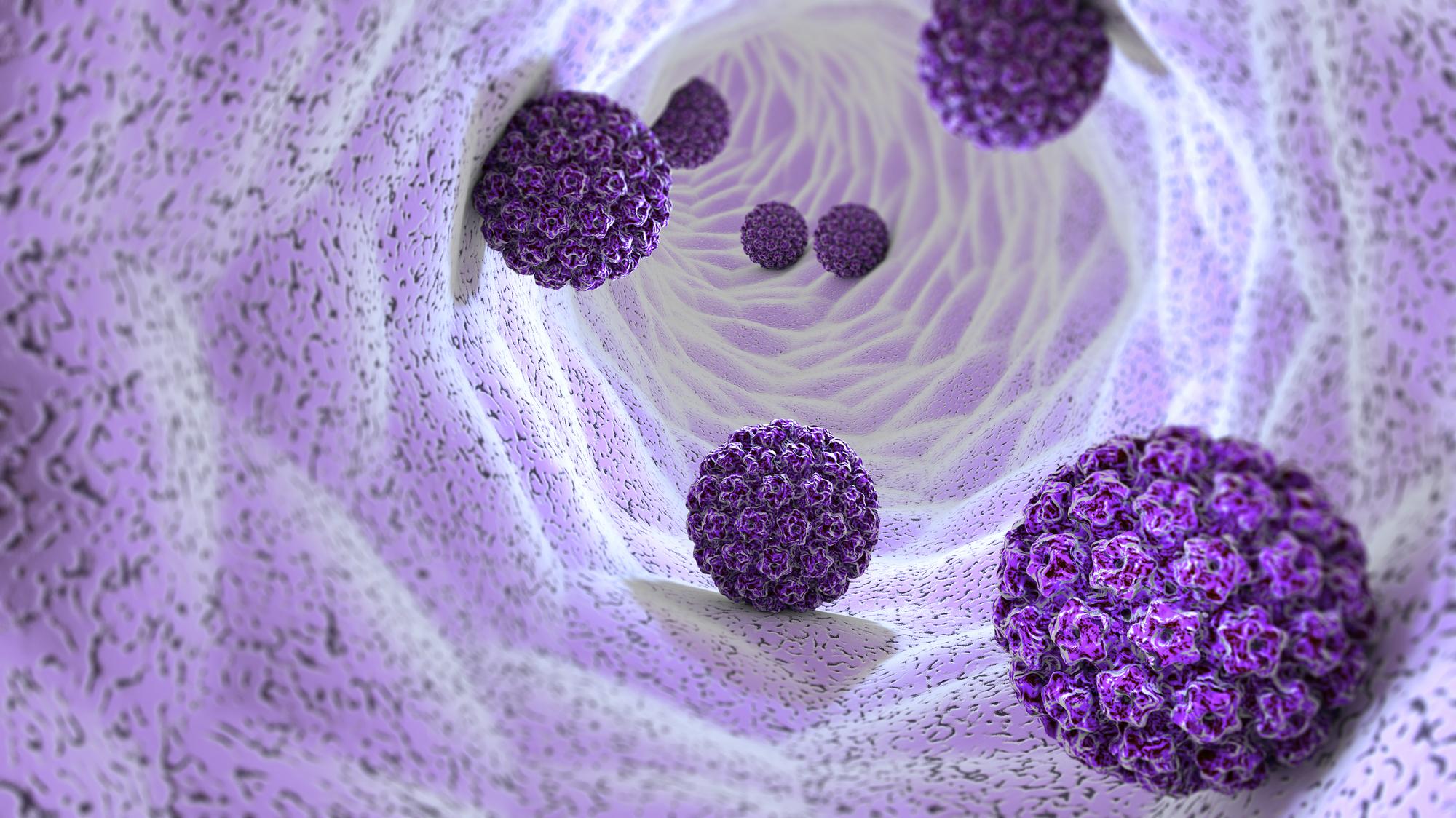 Vírusom HPV sa môžu nakaziť aj deti alebo ľudia, ktorí intímny kontakt v akejkoľvek forme nemajú. (ilustračné foto)