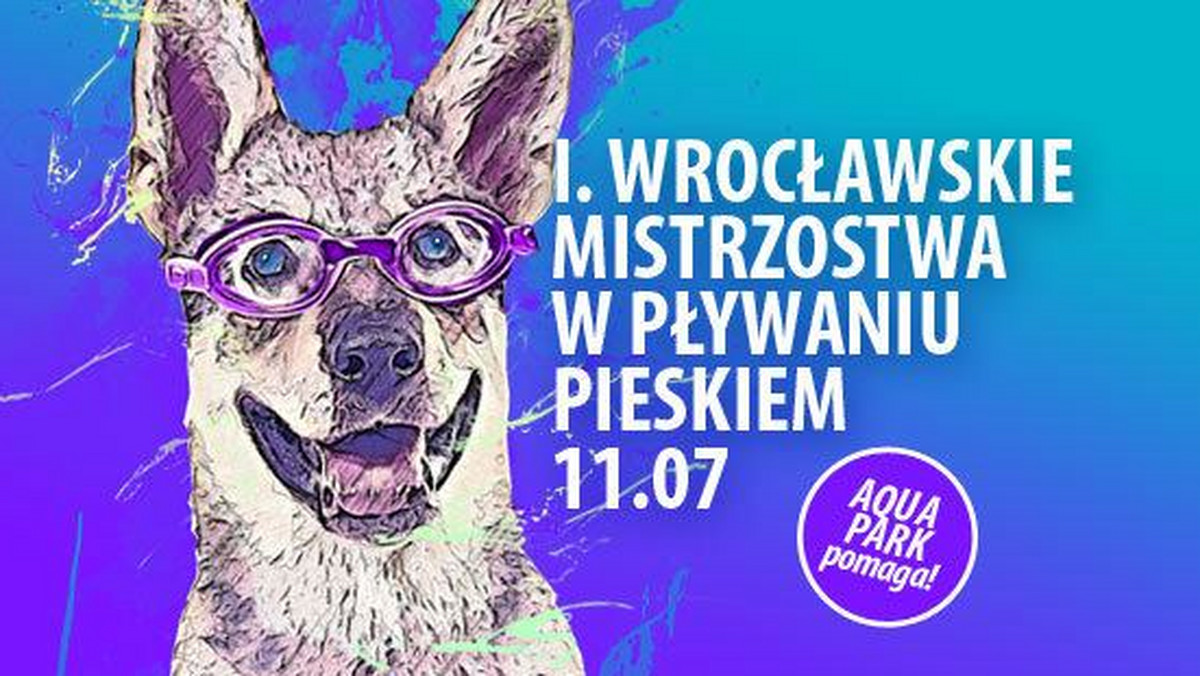 Wrocław: Mistrzostwa w pływaniu pieskiem. Celem pomoc schronisku dla bezdomnych zwierząt