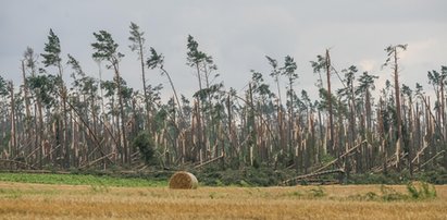 "Stan siły wyższej" w lasach. Drony ruszą do akcji