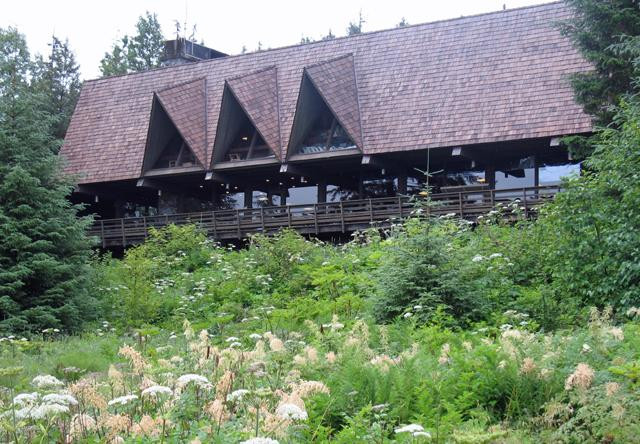 Galeria USA - Park Narodowy Zatoki Lodowców, obrazek 21