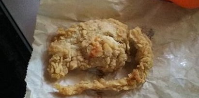 KFC serwuje szczura w panierce? To zdjęcie poraża