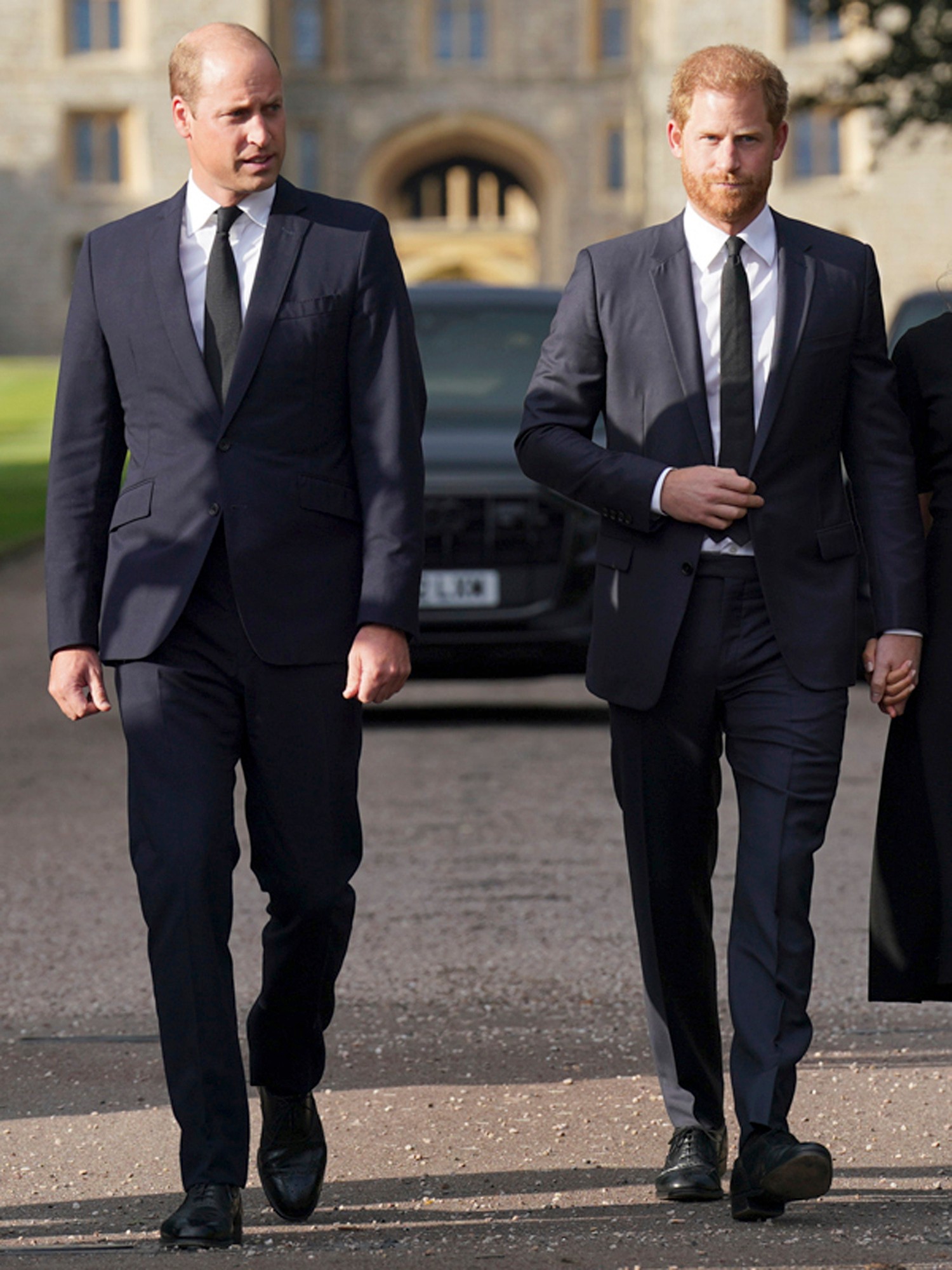 Britský princ Harry a princ William.