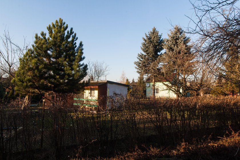 Ogródki działkowe zostaną zlikwidowane. W zamian powstaną nowe w innej lokalizacji