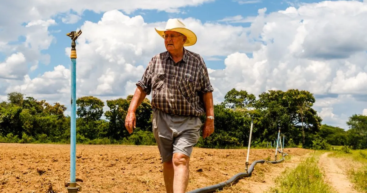 Zimbabwe compensates foreign farmers $146 million as 67 seized farms are returned after 25 years