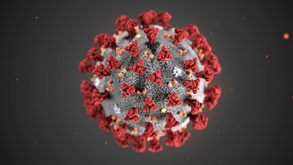 Döbbenetes dolgot állít egy járványszakértő: a világ lakosságának 60 százalékát is megfertőzheti a koronavírus