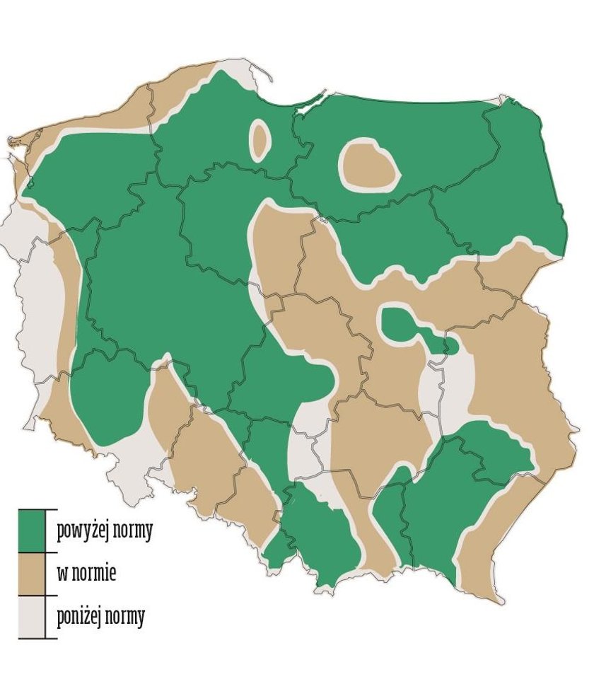 Grudzień 2020. Prognoza liczby dni z opadami