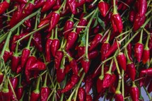 Dlaczego ludzie lubią jeść pikantne potrawy? Naukowe i kulturowe wyjaśnienie