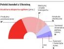 Polski handel z Ukrainą - struktura eksportu w 2013 r.