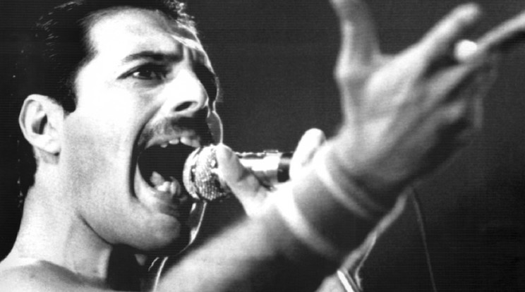  Freddie Mercury ma lenne 75 éves / Fotó: Northfoto