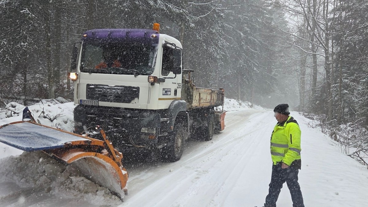 Sneg pada u Moravičkom i Zlatiborskom okrugu