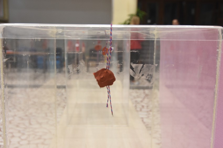 U Novom Sadu biće možda i najneizvesnija izborna trka