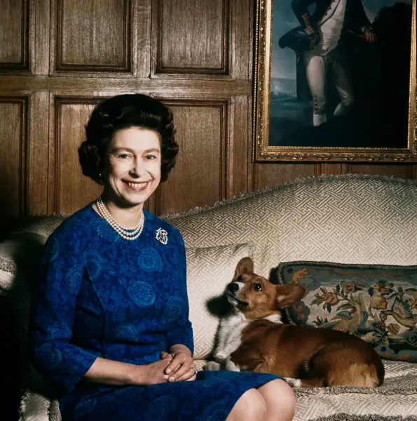 Królowa Elżbieta II z jednym ze swoich corgi w Sandringham, 1970 r. / Photos Hulton Archive Getty Images